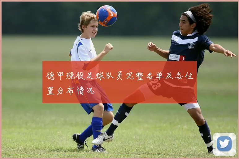 德甲现役足球队员完整名单及各位置分布情况