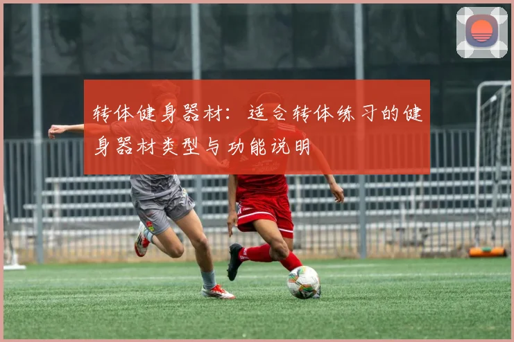 转体健身器材:适合转体练习的健身器材类型与功能说明