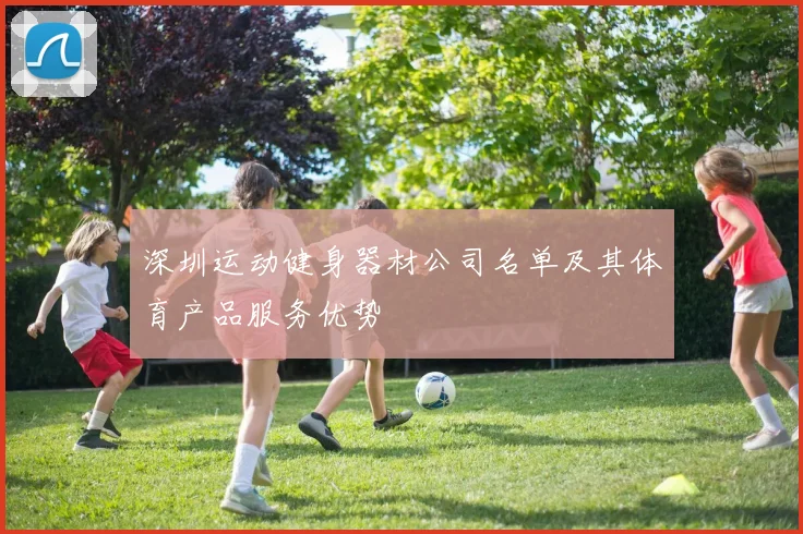 深圳运动健身器材公司名单及其体育产品服务优势