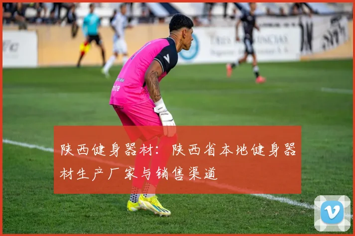 陕西健身器材：陕西省本地健身器材生产厂家与销售渠道