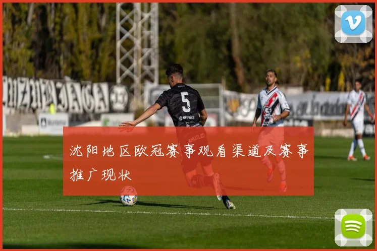 沈阳地区欧冠赛事观看渠道及赛事推广现状