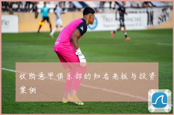 收购意甲俱乐部的知名老板与投资案例